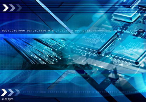 从入侵检测技术划分IDS的两种主要类型